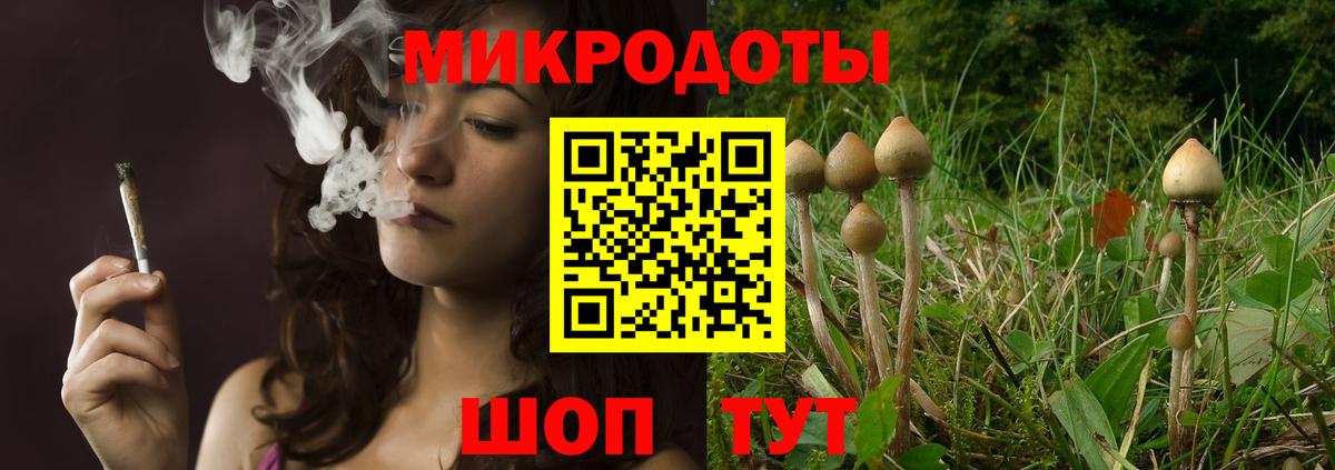 Псилоцибиновые грибы мухоморы Павлово